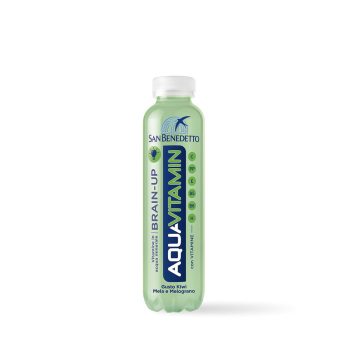 san-benedetto-aquavitamin-brain-up-uditoital