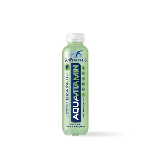 san-benedetto-aquavitamin-brain-up-uditoital