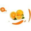 yoga-bar-arancia-di-sicilia-narancs-100-0-2l