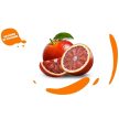 yoga-bar-arancia-rossa-vernarancs-uditoital